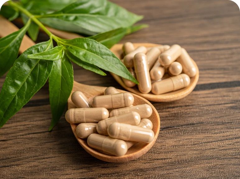 Herbal capsules on wooden spoons with leaves.